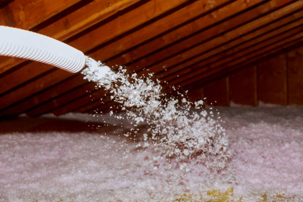 Best Cellulose Insulation  in Watertown Town, MA